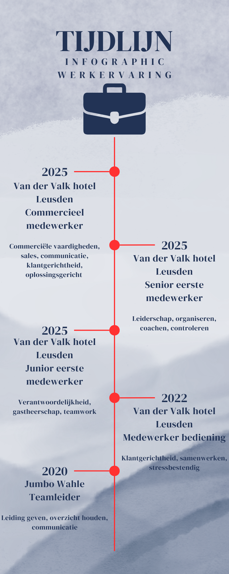 Infographic met de werkervaring van Tim van Dijk